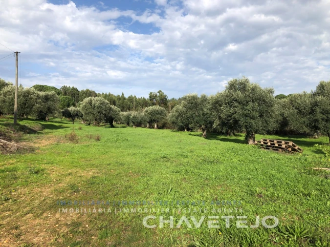 Terreno para Venda em Asseiceira Foto 2