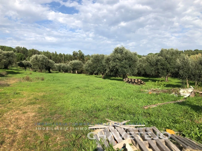 Terreno para Venda em Asseiceira Foto 5