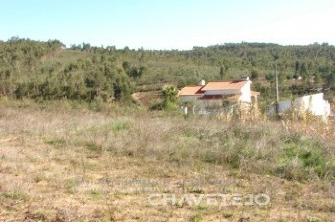 Terreno para Venda em São Pedro de Tomar Foto 2
