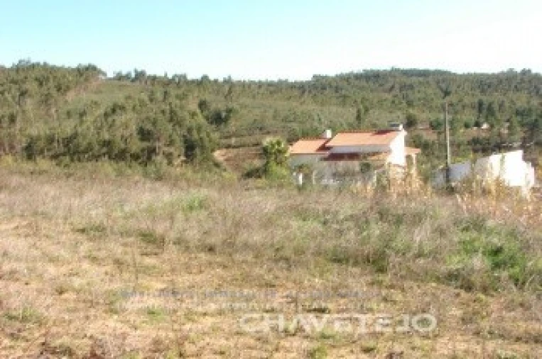 Terreno para Venda em São Pedro de Tomar Foto 2