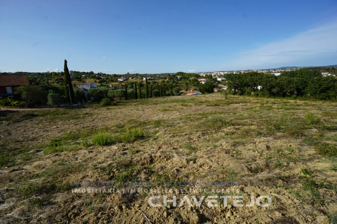 Terreno para Venda em São João Baptista e Santa Maria dos Olivais Foto 1