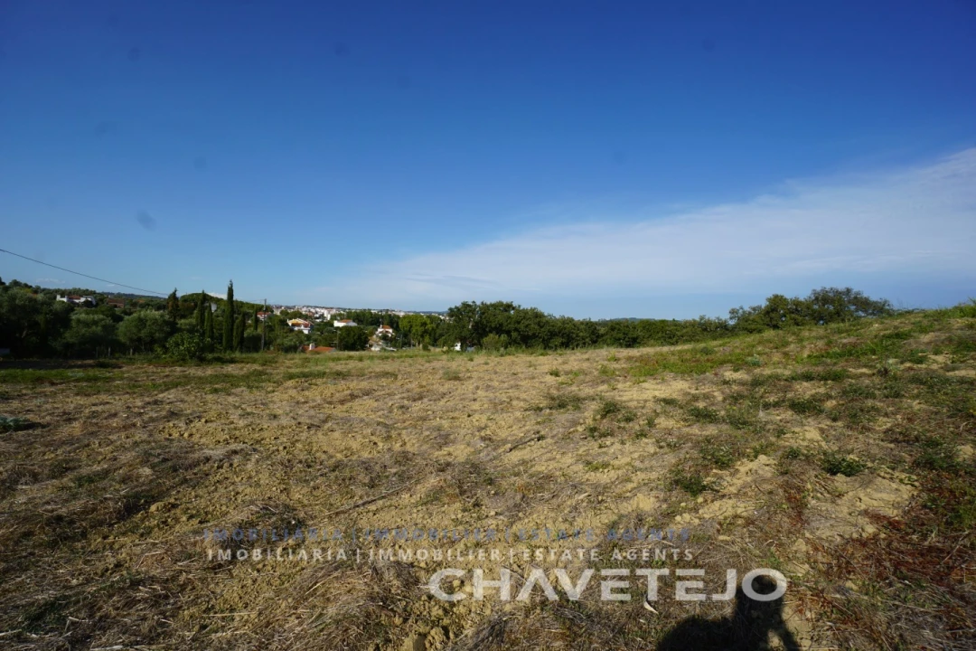 Terreno para Venda em São João Baptista e Santa Maria dos Olivais Foto 5