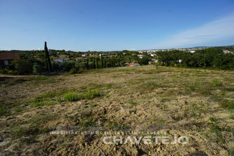 Terreno para Venda em São João Baptista e Santa Maria dos Olivais Foto 1