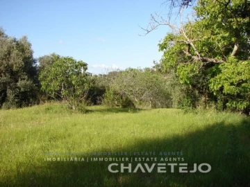 Terreno para Venda em Olaia e Paço
