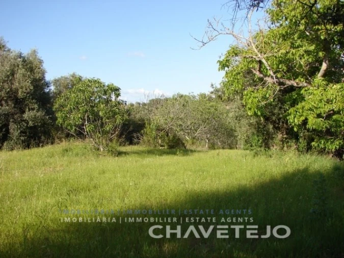 Terreno para Venda em Olaia e Paço