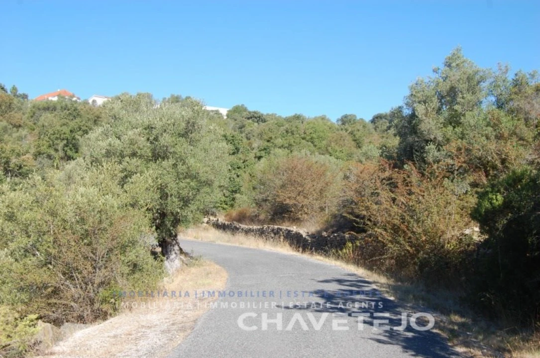 Terreno para Venda em Além da Ribeira e Pedreira Foto 1