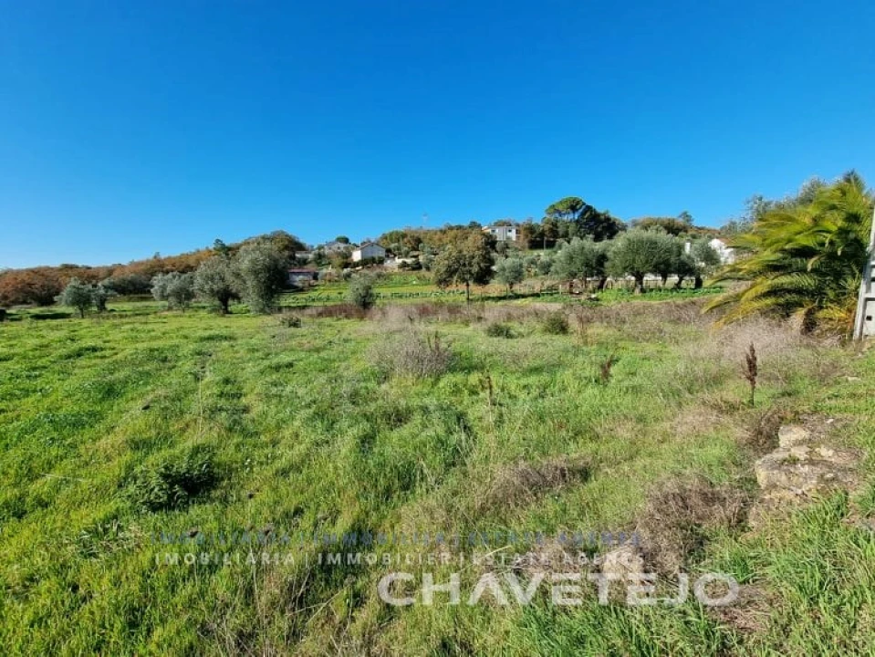 Terreno para Venda em Areias e Pias Foto 3