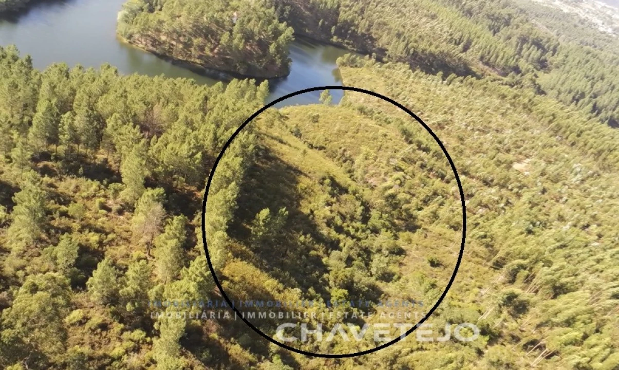 Terreno para Venda em Serra e Junceira Foto 4