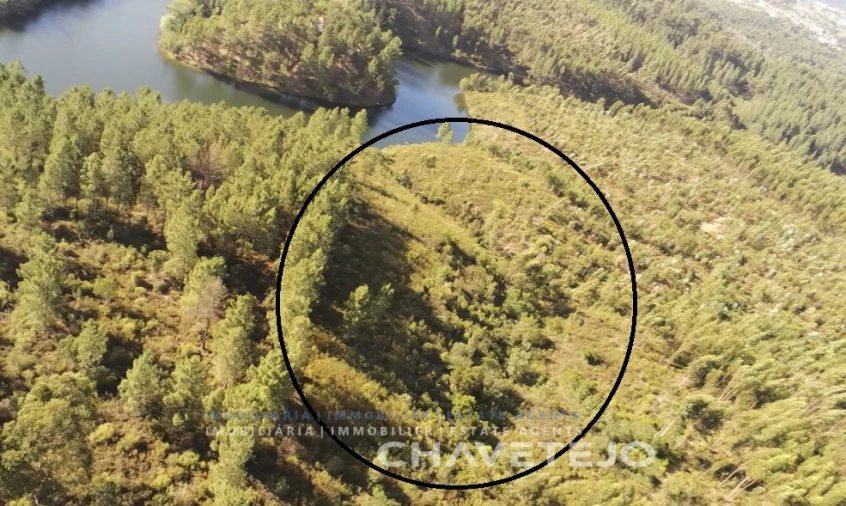 Terreno para Venda em Serra e Junceira Foto 4