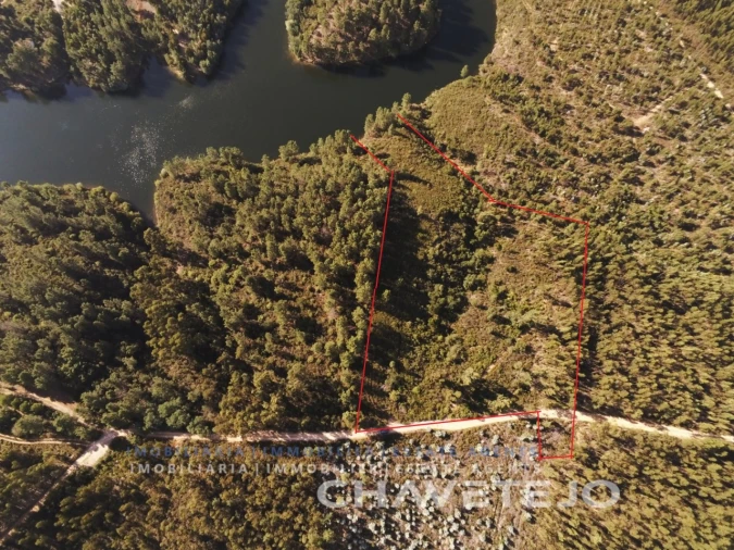 Terreno para Venda em Serra e Junceira Foto 6