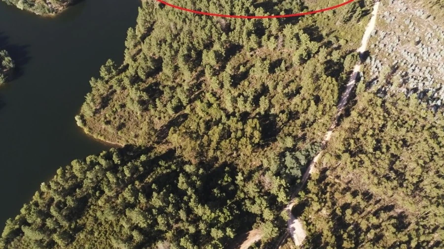 Terreno para Venda em Serra e Junceira