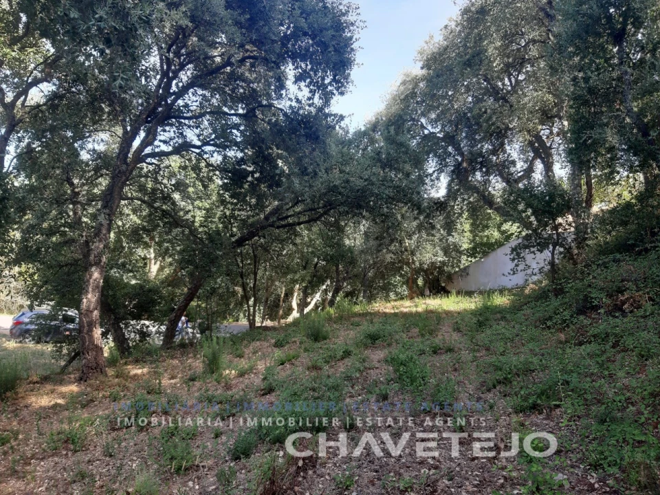 Terreno para Venda em Serra e Junceira Foto 2
