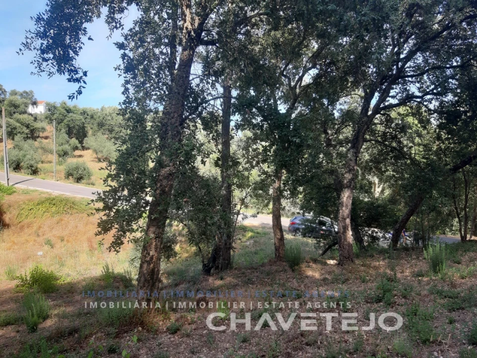 Terreno para Venda em Serra e Junceira Foto 3