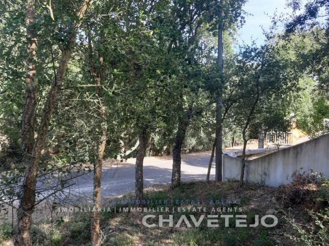 Terreno para Venda em Serra e Junceira