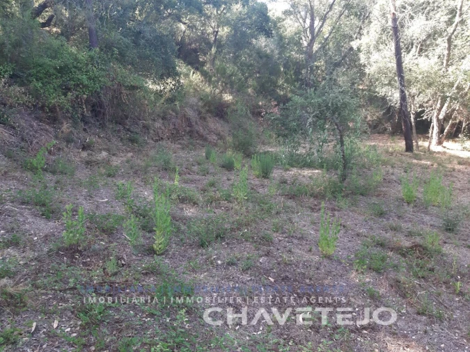 Terreno para Venda em Serra e Junceira Foto 7