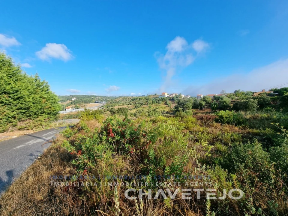 Terreno para Venda em Carregueiros Foto 6