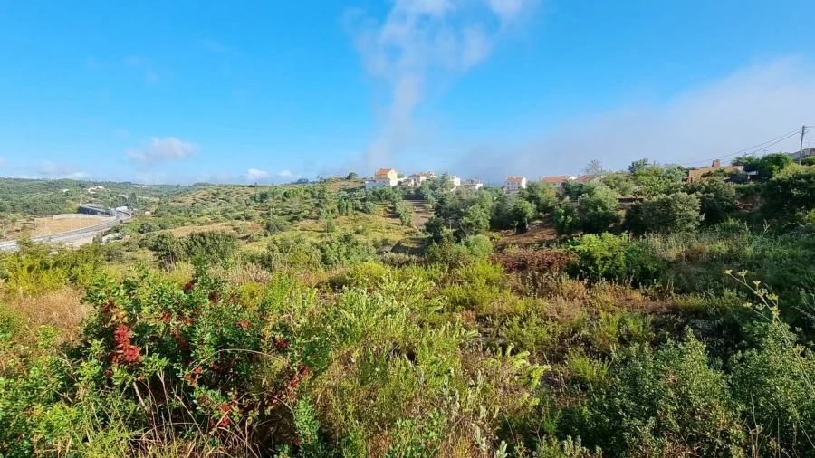 Terreno para Venda em Carregueiros