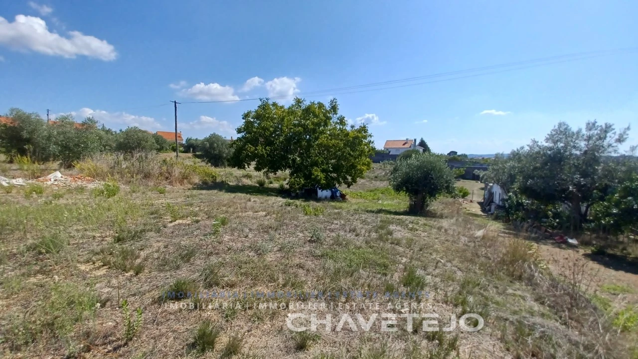 Terreno para Venda em São João Baptista e Santa Maria dos Olivais Foto 1