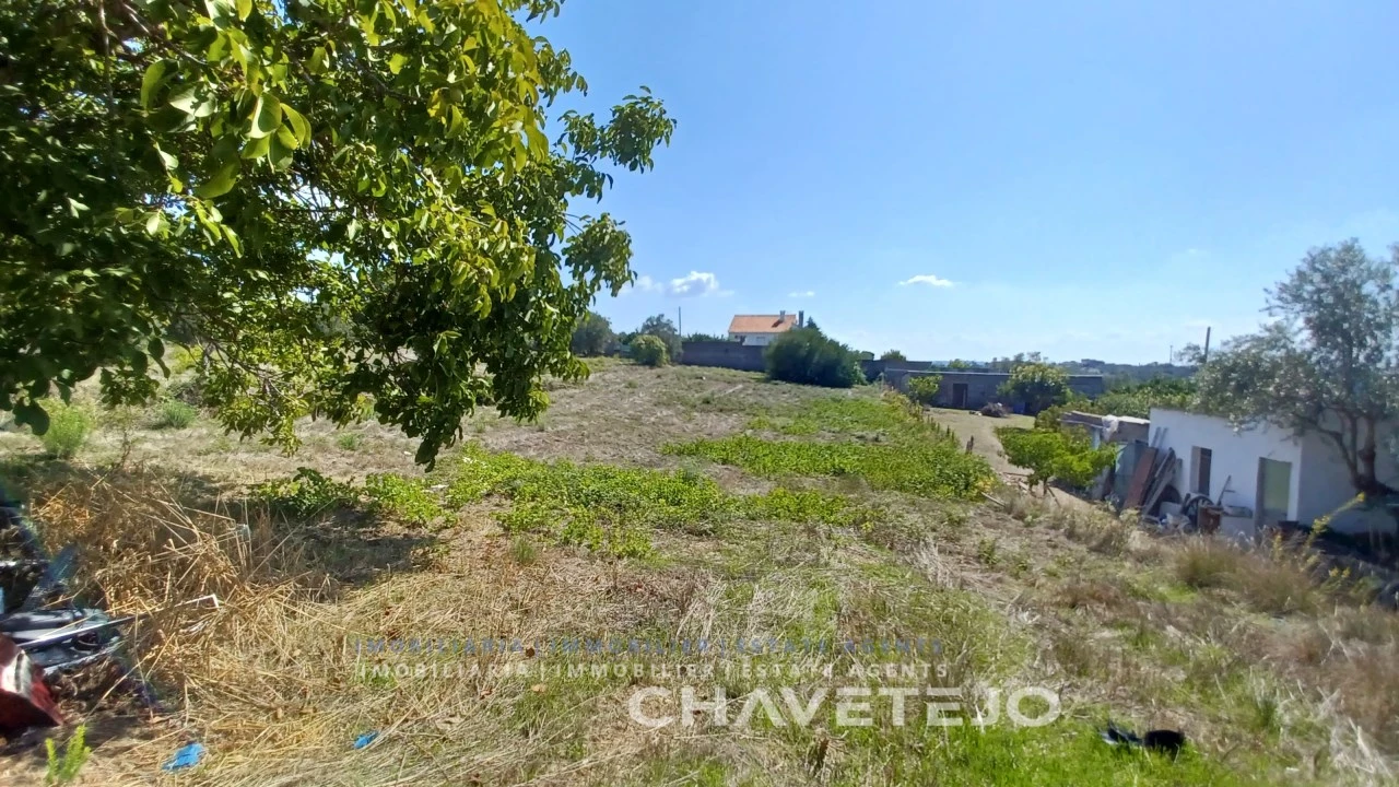 Terreno para Venda em São João Baptista e Santa Maria dos Olivais Foto 6