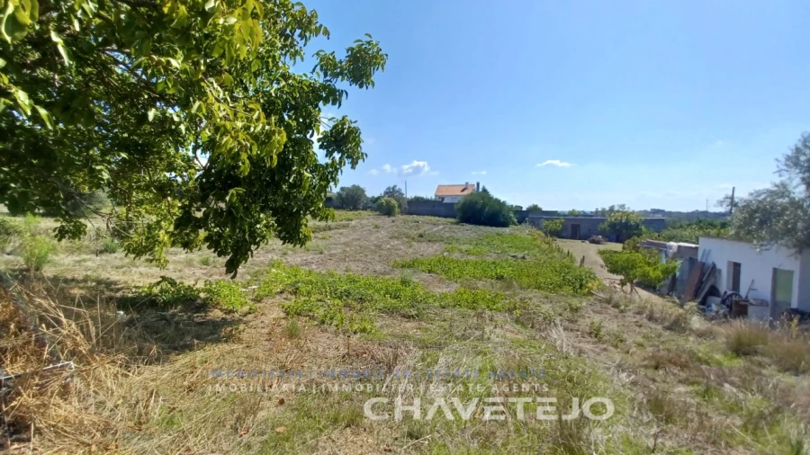 Terreno para Venda em São João Baptista e Santa Maria dos Olivais Foto 2