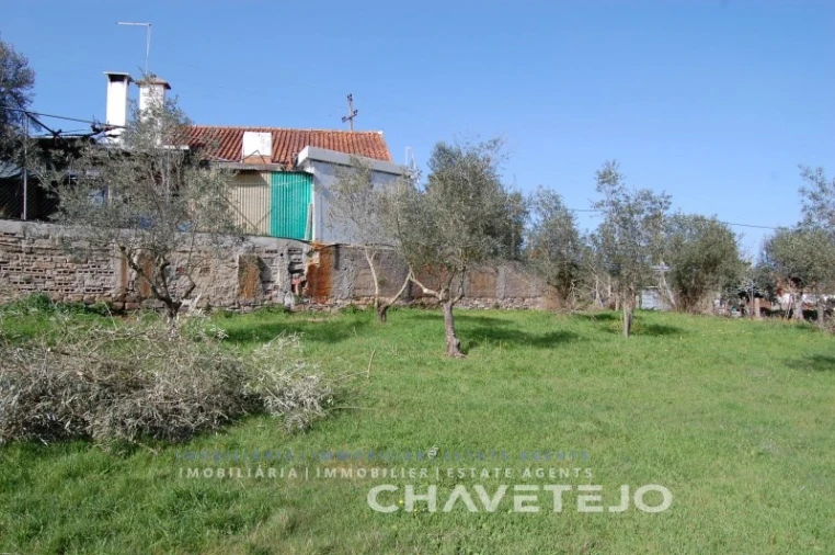 Terreno para Venda em Olalhas Foto 2