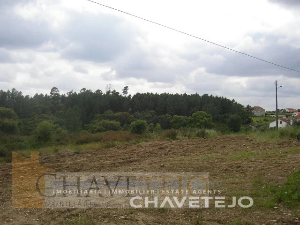 Terreno para Venda em Olalhas Foto 3
