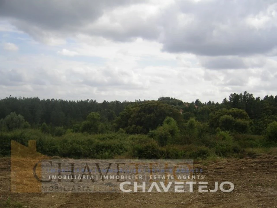 Terreno para Venda em Olalhas Foto 1