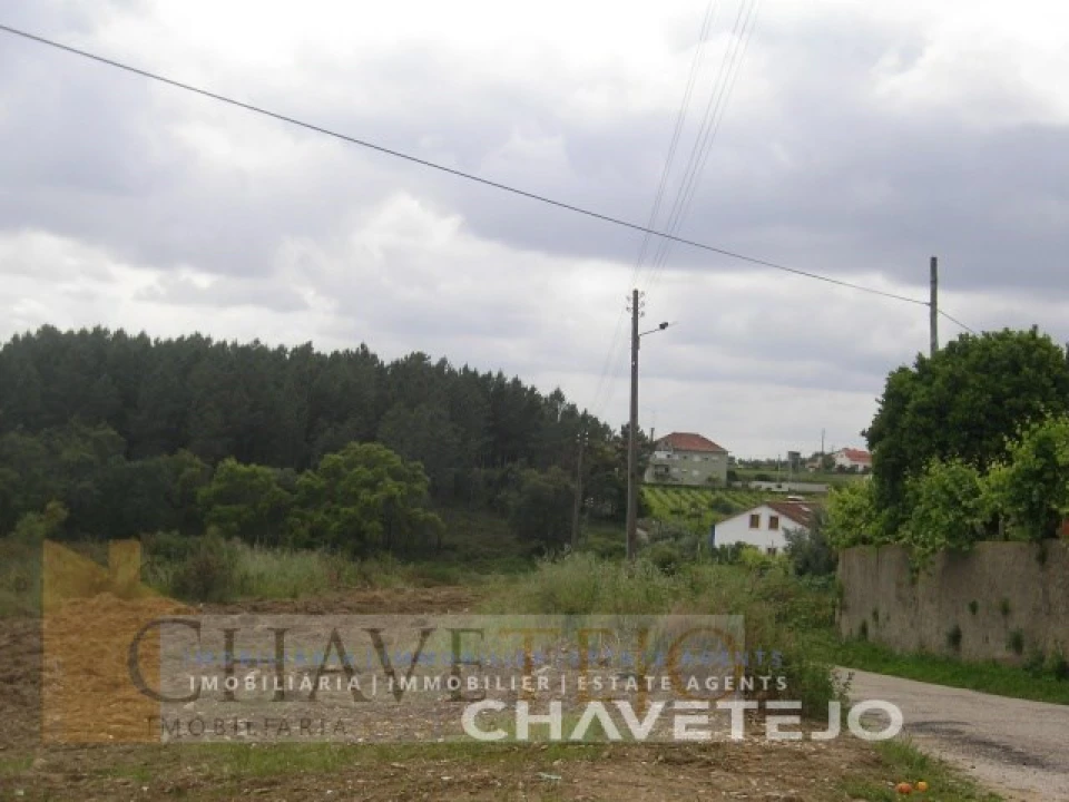 Terreno para Venda em Olalhas Foto 7