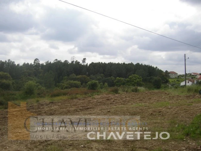 Terreno para Venda em Olalhas Foto 3