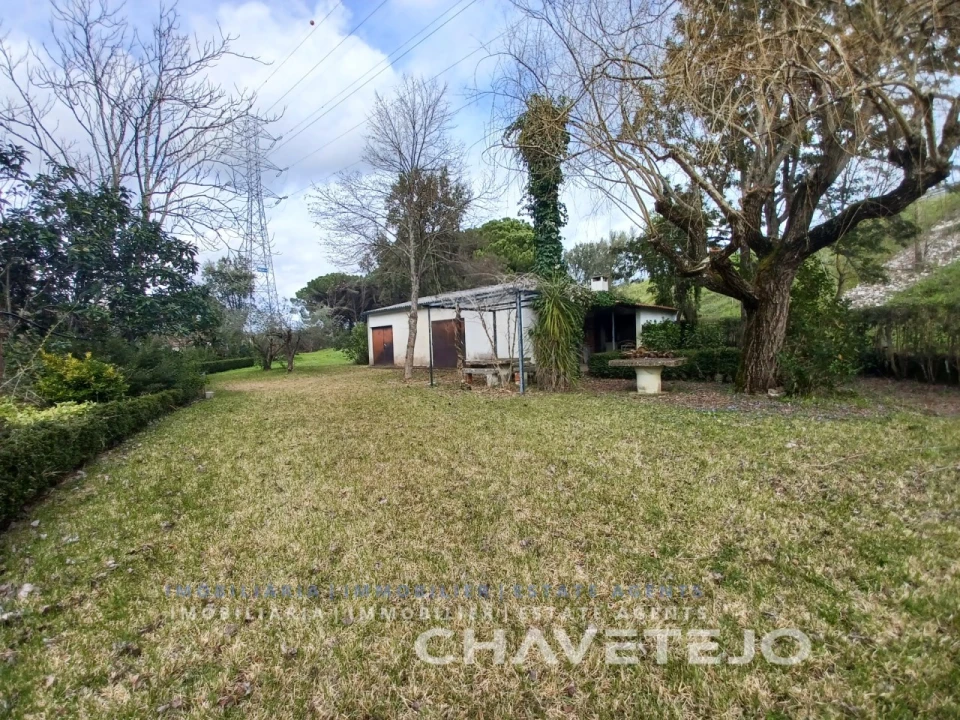 Terreno para Venda em São João Baptista e Santa Maria dos Olivais Foto 1