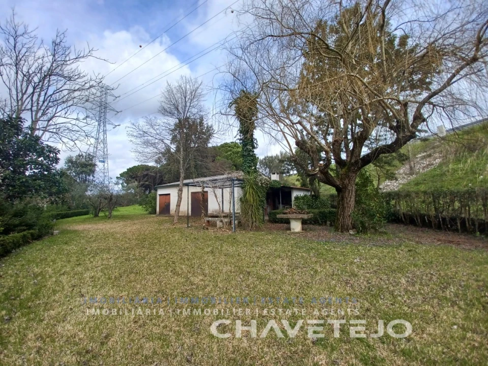 Terreno para Venda em São João Baptista e Santa Maria dos Olivais Foto 2