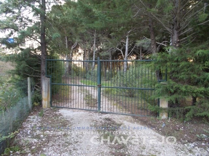 Terreno para Venda em São João Baptista e Santa Maria dos Olivais Foto 8