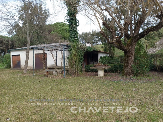 Terreno para Venda em São João Baptista e Santa Maria dos Olivais Foto 3