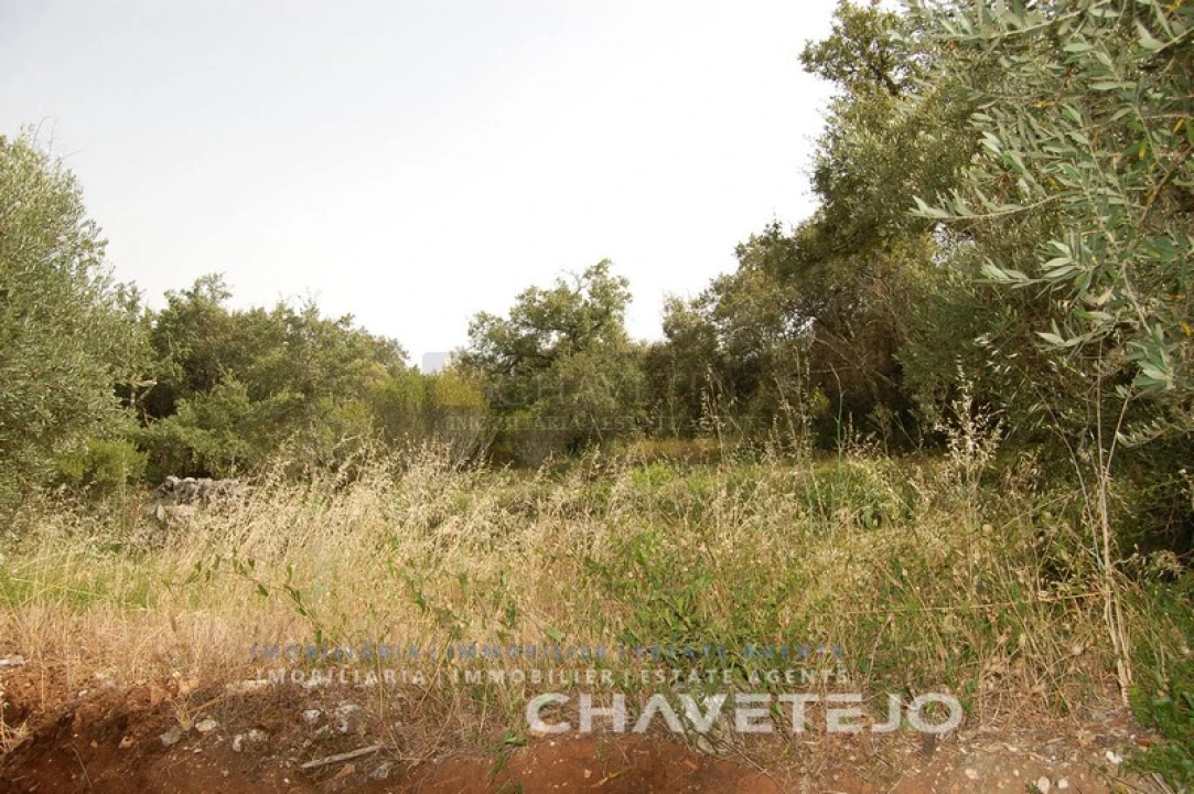 Terreno para Venda em Chãos Foto 2