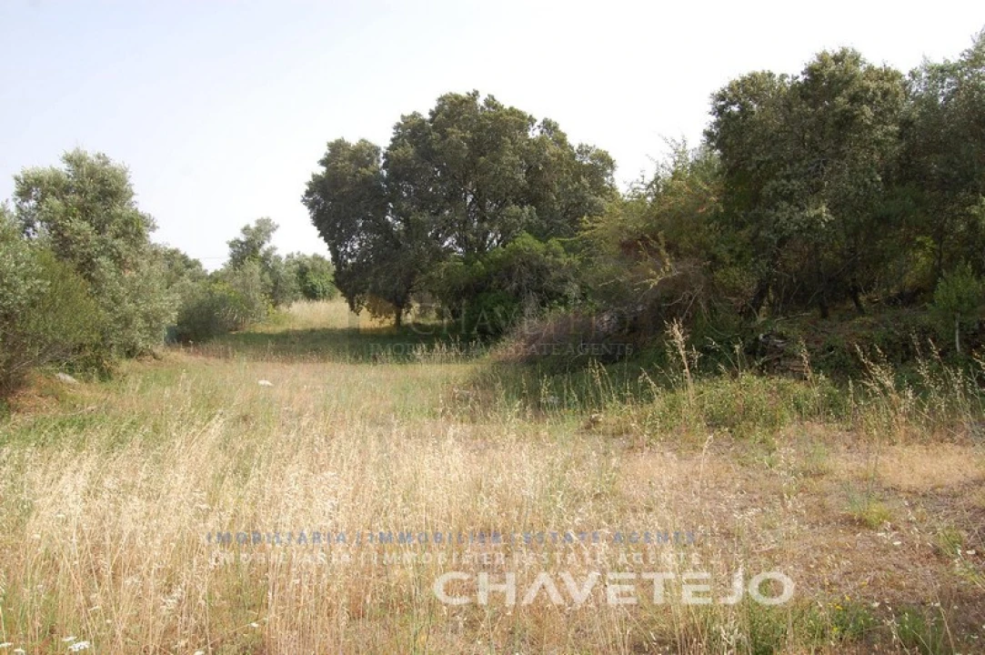 Terreno para Venda em Chãos Foto 7