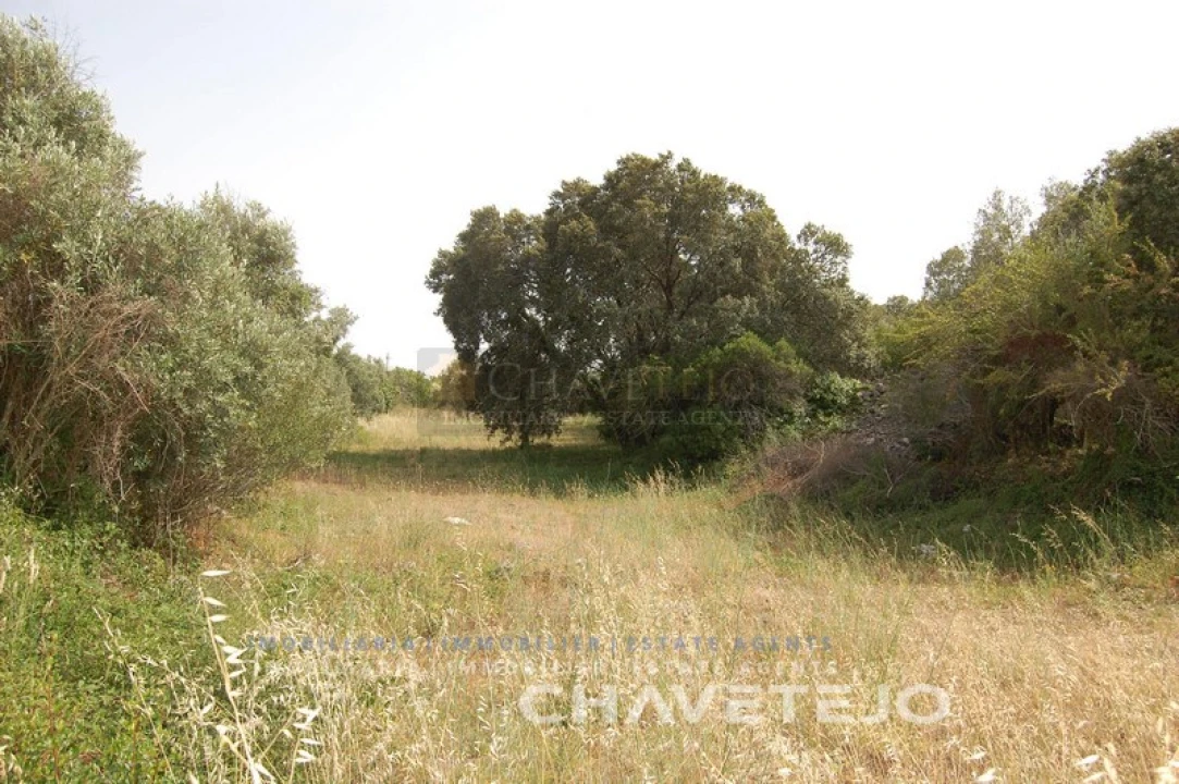 Terreno para Venda em Chãos Foto 1