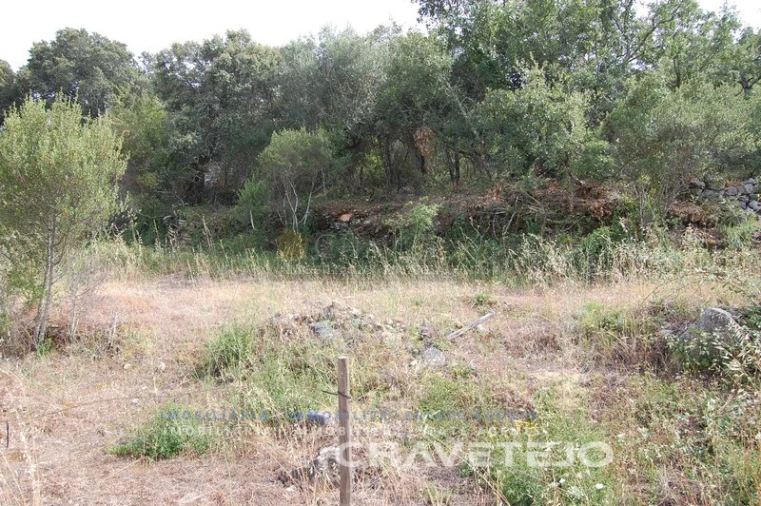 Terreno para Venda em Chãos Foto 4