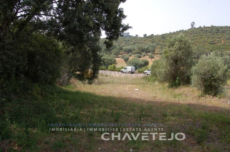 Terreno para Venda em Chãos Foto 5