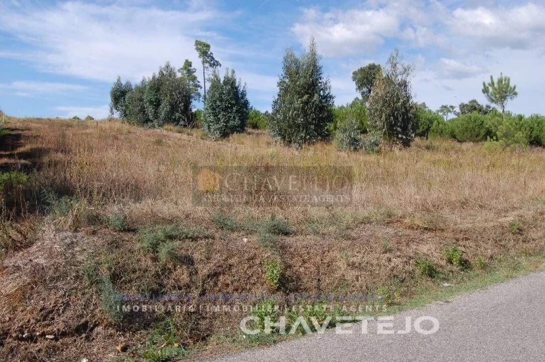 Terreno para Venda em São Pedro de Tomar Foto 5