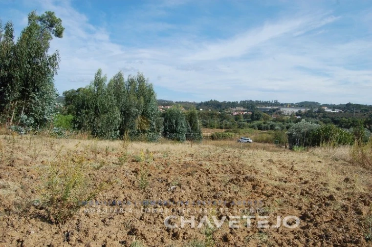 Terreno para Venda em São Pedro de Tomar