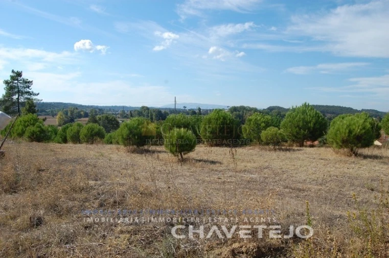 Terreno para Venda em São Pedro de Tomar Foto 3