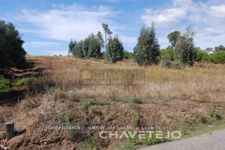 Terreno para Venda em São Pedro de Tomar Foto 4