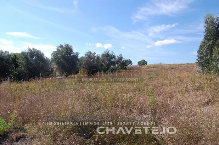 Terreno para Venda em São Pedro de Tomar Foto 6
