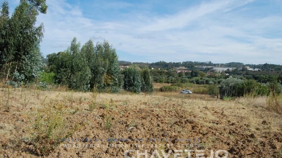 Terreno para Venda em São Pedro de Tomar