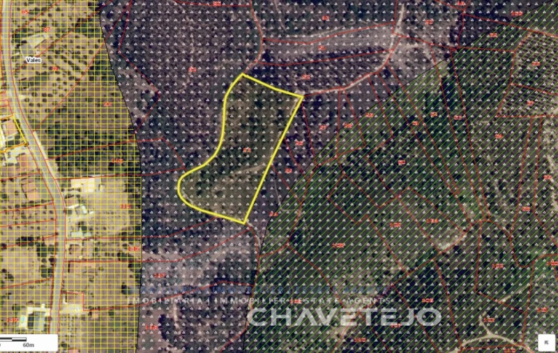 Terreno para Venda em Serra e Junceira Foto 2