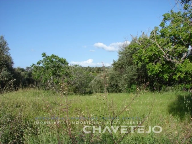 Terreno para Venda em Olaia e Paço Foto 1