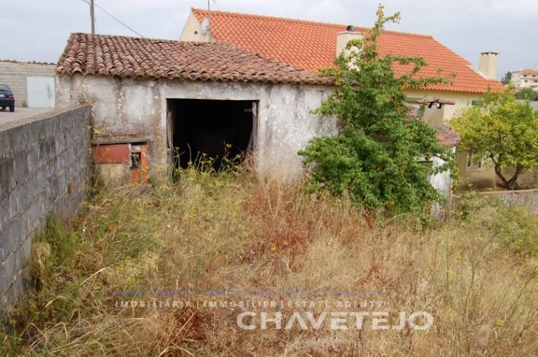 Terreno para Venda em São João Baptista e Santa Maria dos Olivais Foto 2