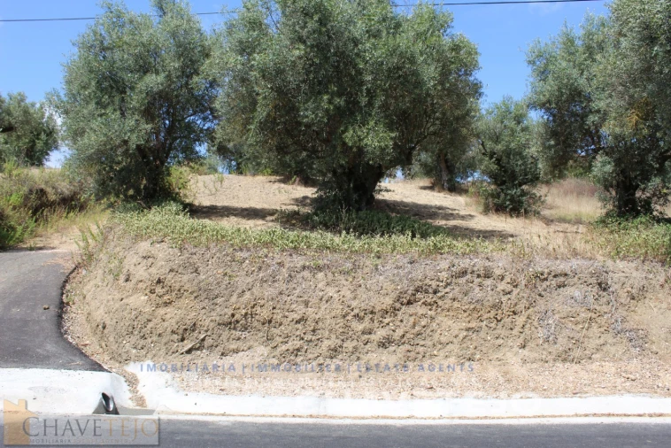 Terreno para Venda em São João Baptista e Santa Maria dos Olivais Foto 3