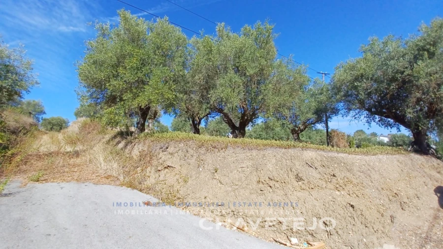Terreno para Venda em São João Baptista e Santa Maria dos Olivais Foto 1