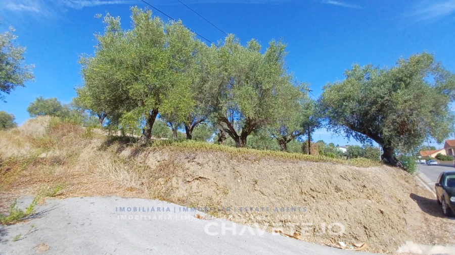 Terreno para Venda em São João Baptista e Santa Maria dos Olivais Foto 2